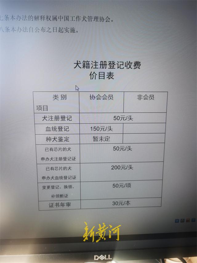 安阳“狗咬人”事件中工作犬证是啥证?新黄河调查:注册费50元代办要3000元,背后藏黑产休闲区蓝鸢梦想 - Www.slyday.coM 安阳“狗咬人”事件中工作犬证是啥证?新黄河调查:注册费50元代办要3000元,背后藏黑产休闲区蓝鸢梦想 - Www.slyday.coM