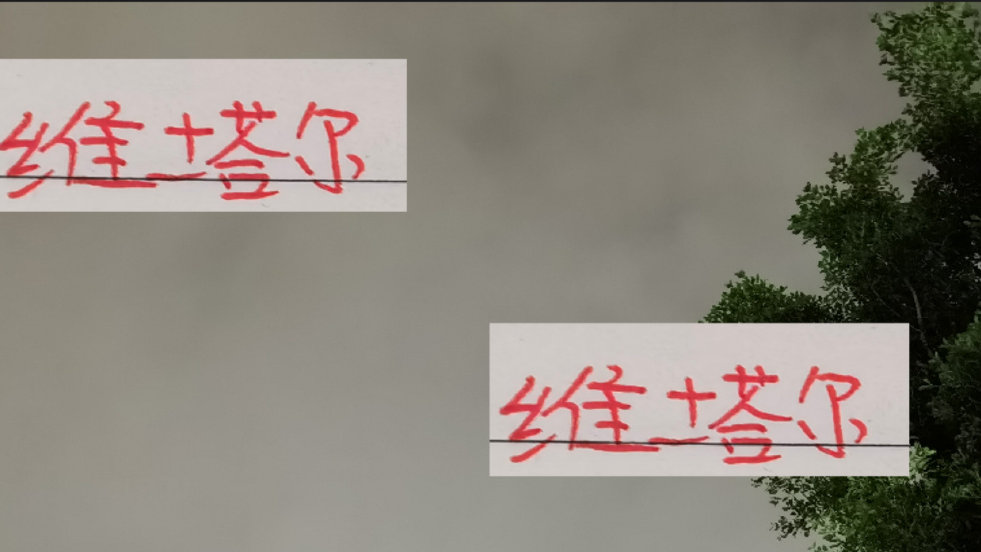 少谁都不能少维塔尔！他已经在海港全勤首发28场