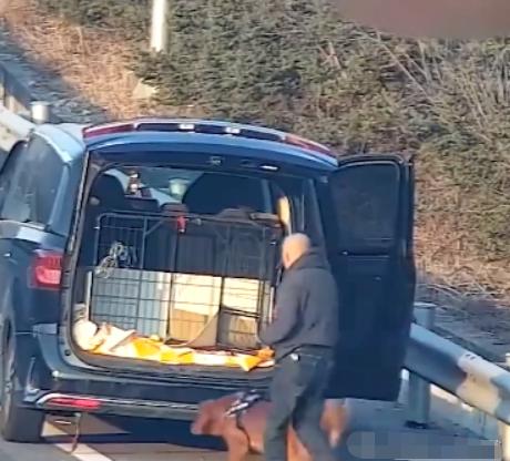 男子高速上怕狗晕车,竟违停占应急车道遛狗,周围车辆纷纷避让休闲区蓝鸢梦想 - Www.slyday.coM 男子高速上怕狗晕车,竟违停占应急车道遛狗,周围车辆纷纷避让休闲区蓝鸢梦想 - Www.slyday.coM