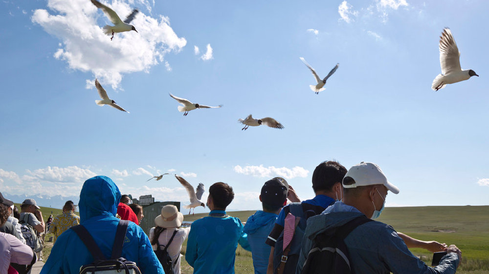 中国最大的野生天鹅种群的栖息地，巴音布鲁克天鹅湖