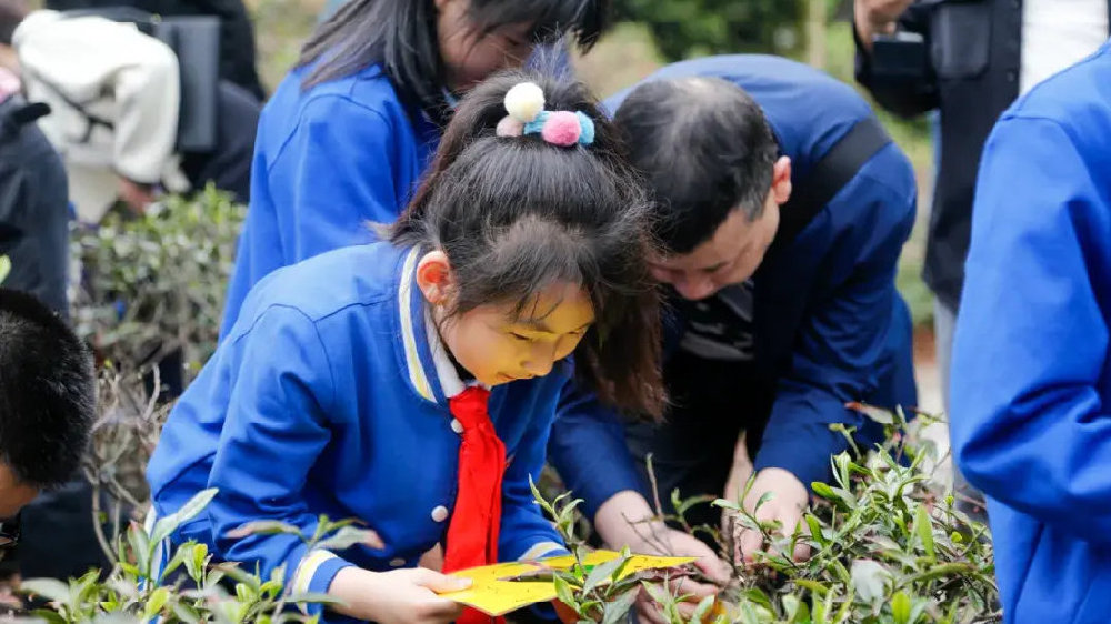 茶文化公园蒙顶山茶园认养寄语：希望茶树（小胖）能陪我一辈子