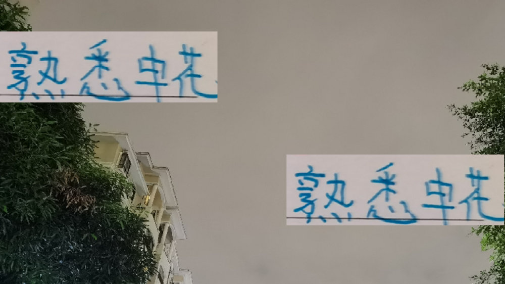 海港客战泰山！坏消息多人受伤 好消息输球依然是中超第一