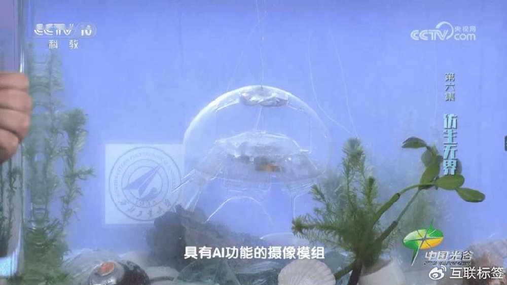 “不务正业”车企教书育人，上汽大众″三维赋能″乡村学子综合成长