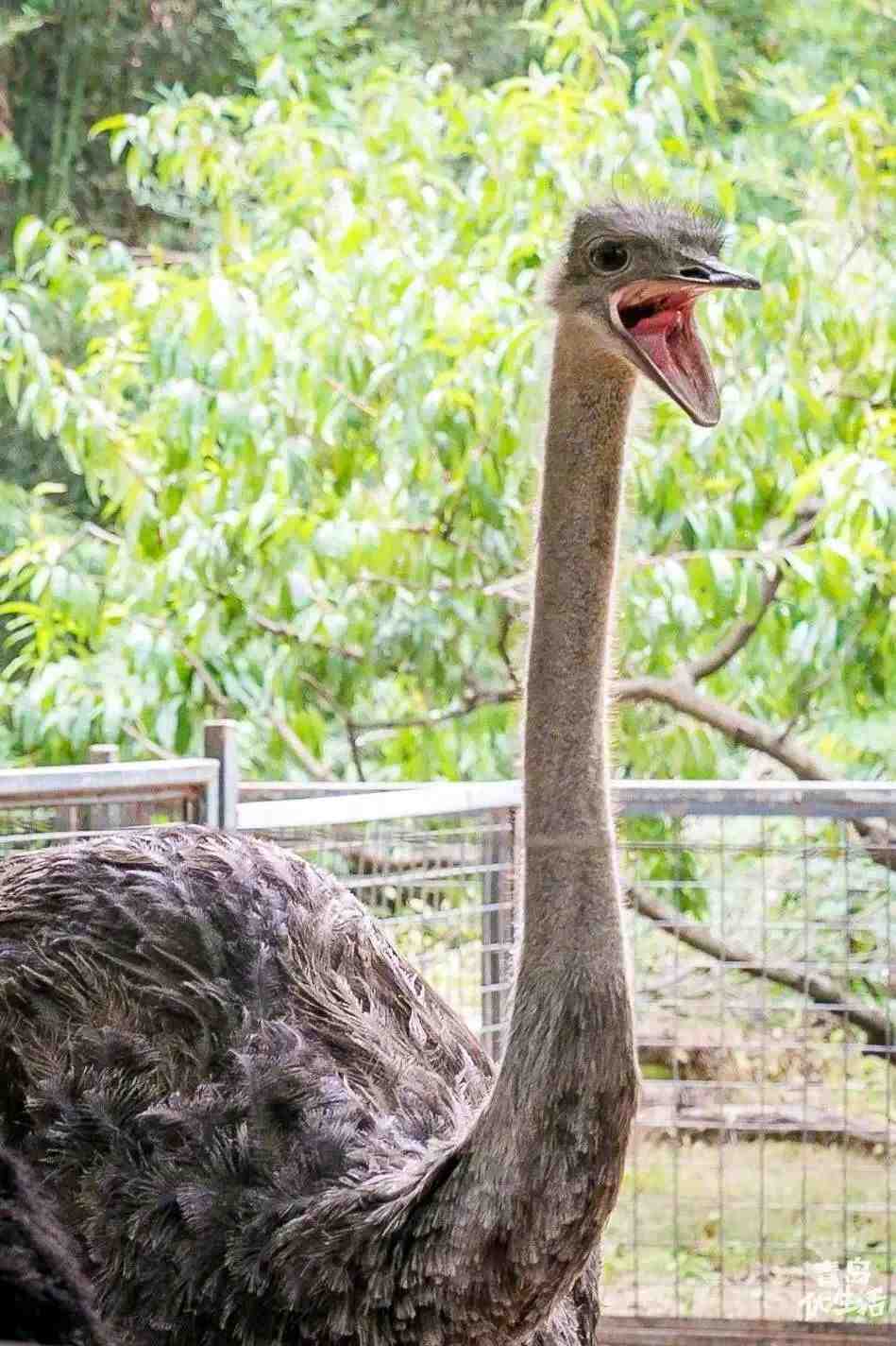 藏在迷雾森林里的“童话木屋”,小心精灵出没!休闲区蓝鸢梦想 - Www.slyday.coM 藏在迷雾森林里的“童话木屋”,小心精灵出没!休闲区蓝鸢梦想 - Www.slyday.coM