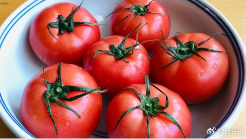 多燕瘦：生熟两吃的绝佳，西红柿的营养之路
