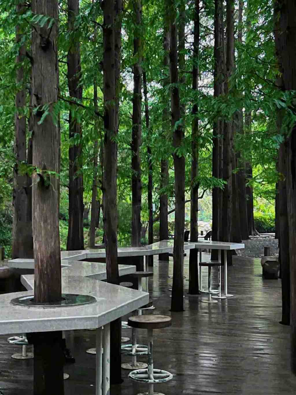 藏在迷雾森林里的“童话木屋”,小心精灵出没!休闲区蓝鸢梦想 - Www.slyday.coM 藏在迷雾森林里的“童话木屋”,小心精灵出没!休闲区蓝鸢梦想 - Www.slyday.coM