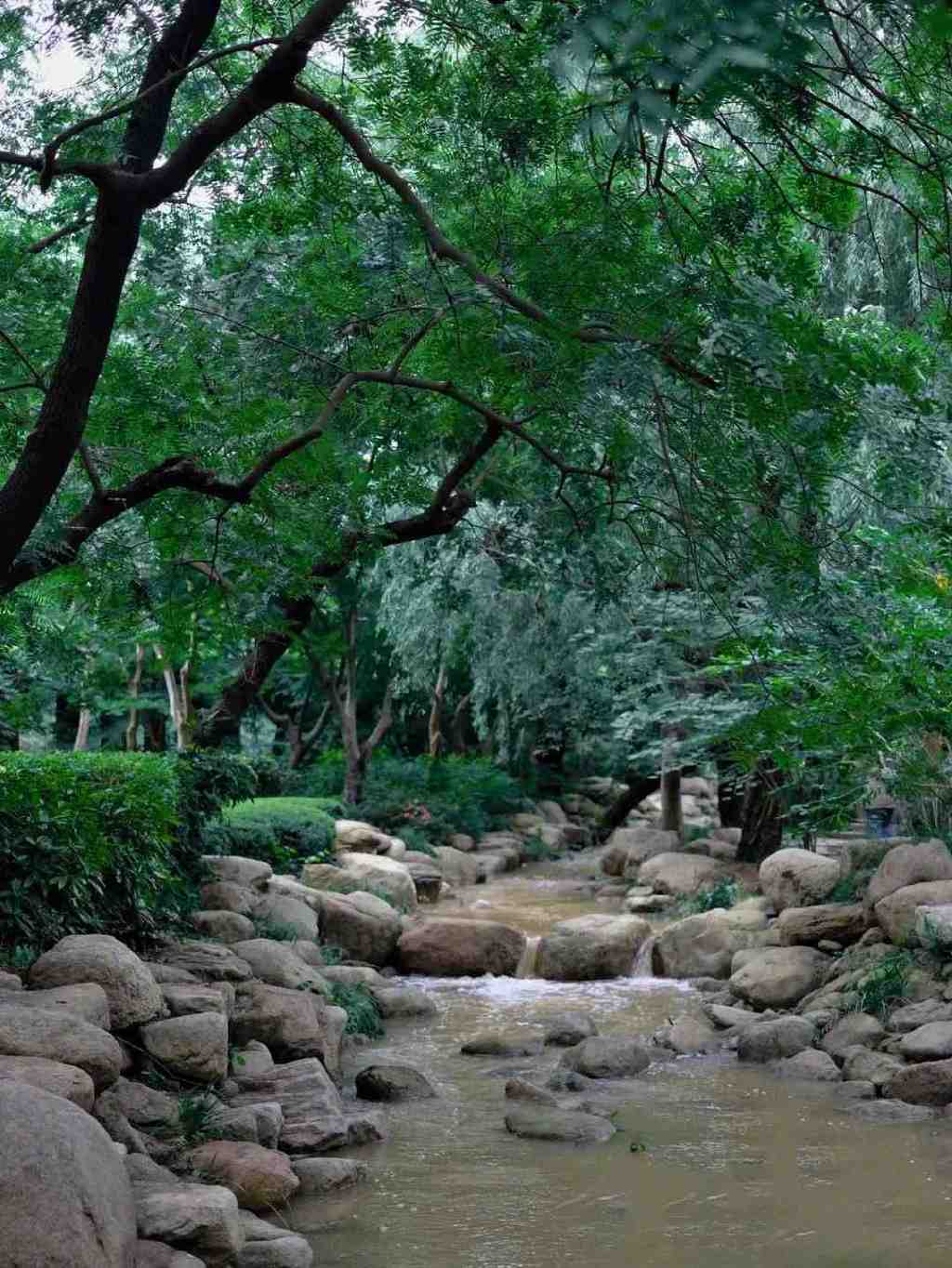 藏在迷雾森林里的“童话木屋”,小心精灵出没!休闲区蓝鸢梦想 - Www.slyday.coM 藏在迷雾森林里的“童话木屋”,小心精灵出没!休闲区蓝鸢梦想 - Www.slyday.coM