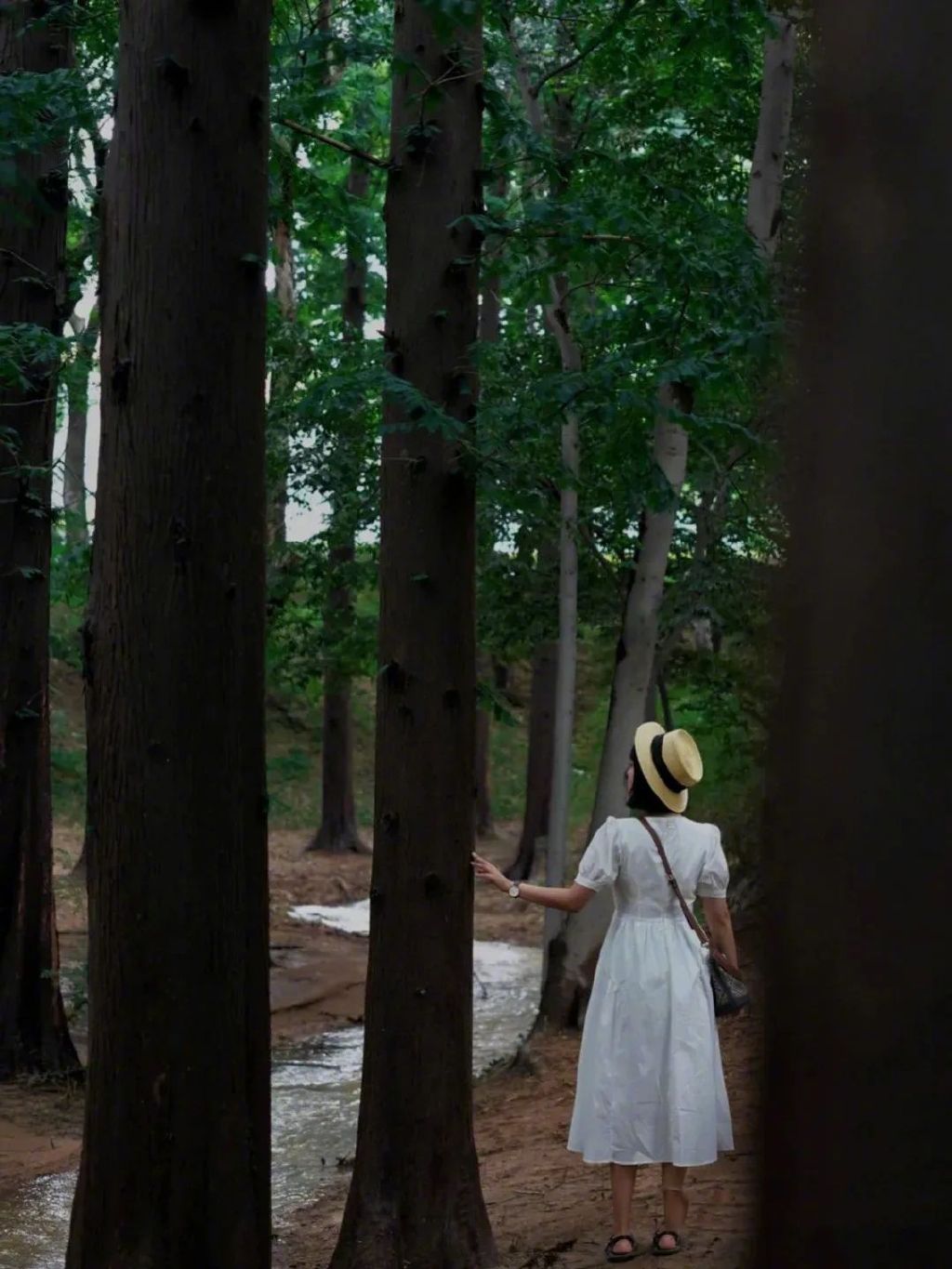 藏在迷雾森林里的“童话木屋”,小心精灵出没!休闲区蓝鸢梦想 - Www.slyday.coM 藏在迷雾森林里的“童话木屋”,小心精灵出没!休闲区蓝鸢梦想 - Www.slyday.coM