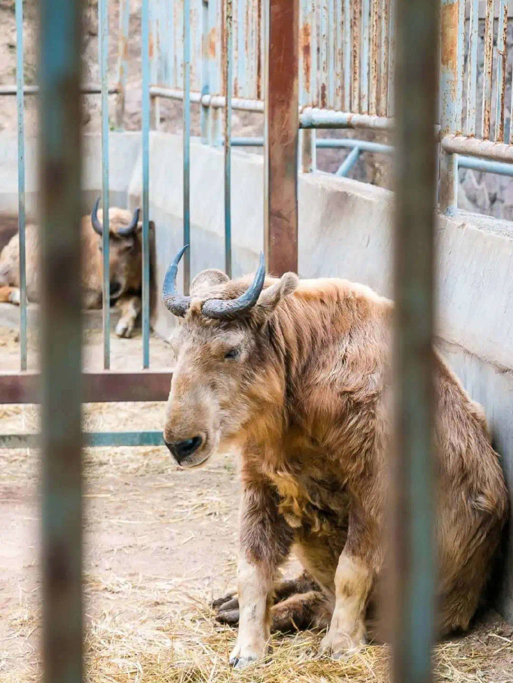 藏在迷雾森林里的“童话木屋”,小心精灵出没!休闲区蓝鸢梦想 - Www.slyday.coM 藏在迷雾森林里的“童话木屋”,小心精灵出没!休闲区蓝鸢梦想 - Www.slyday.coM