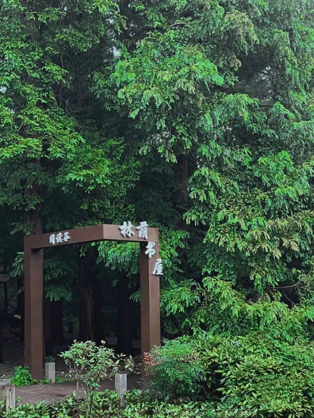 藏在迷雾森林里的“童话木屋”,小心精灵出没!休闲区蓝鸢梦想 - Www.slyday.coM 藏在迷雾森林里的“童话木屋”,小心精灵出没!休闲区蓝鸢梦想 - Www.slyday.coM