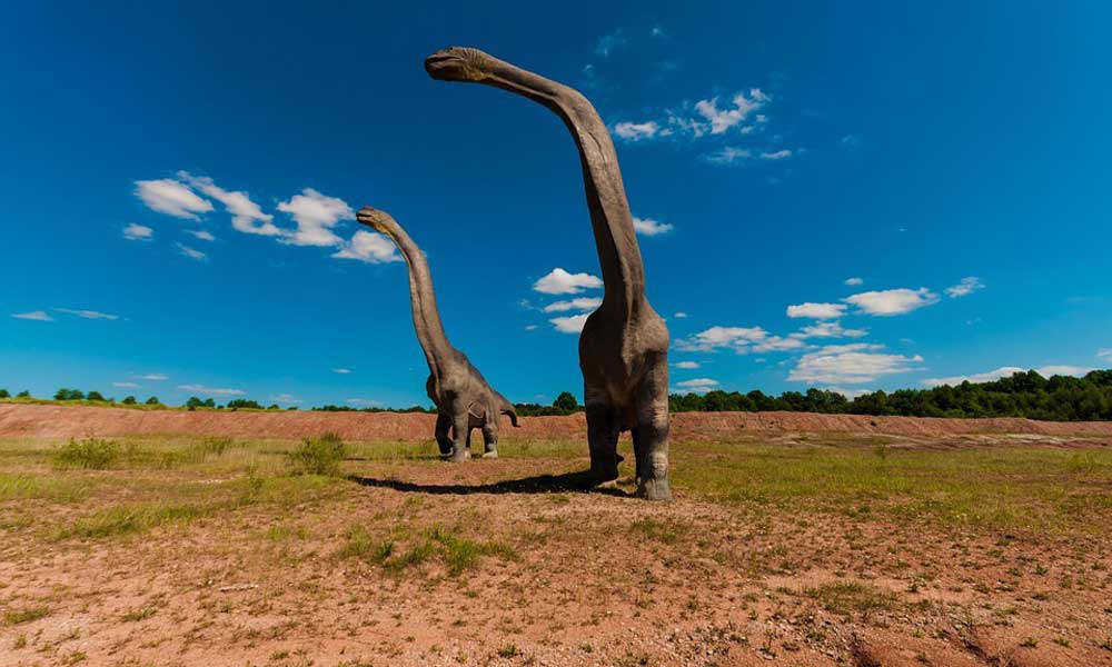 你有没有想过,真实的恐龙可能跟我们现在看到的完全不