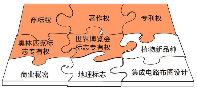 知识产权海关保护之举报受理篇