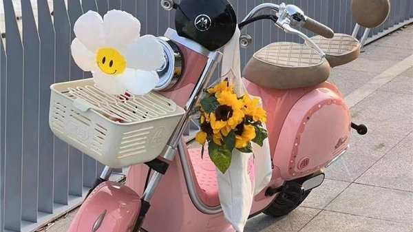 给自己的新年礼物 爱玛蛋蛋系列时尚电动车