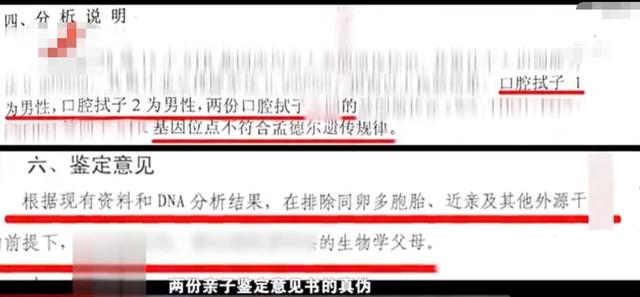 四川男子因听信风言风语怀疑儿子非亲生,偷做亲子鉴定后妻子提出离婚,随后将男子告上法庭:儿子是亲生的休闲区蓝鸢梦想 - Www.slyday.coM 四川男子因听信风言风语怀疑儿子非亲生,偷做亲子鉴定后妻子提出离婚,随后将男子告上法庭:儿子是亲生的休闲区蓝鸢梦想 - Www.slyday.coM