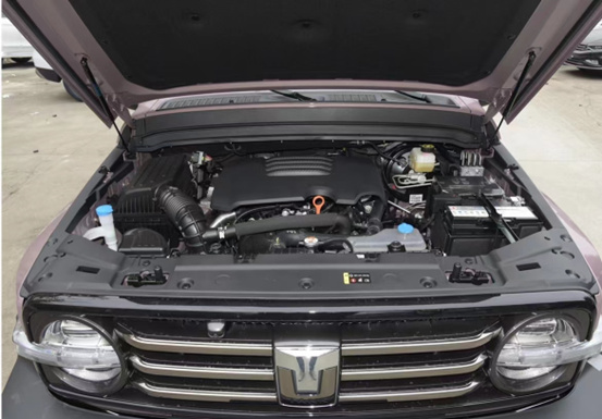 15-30万元预算,两款自主品牌硬派越野车,你更喜欢哪辆?