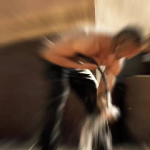 逃亡路上的短暂温暖(好心的汽修店老板)…