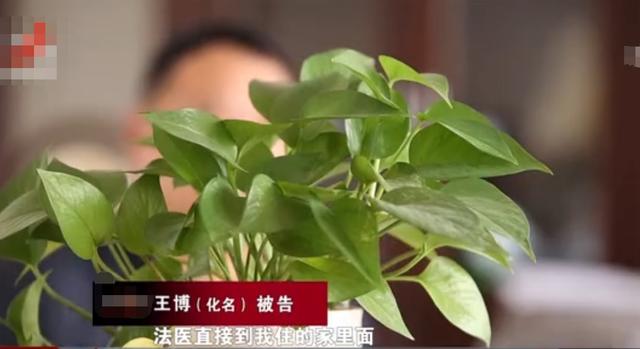 四川男子因听信风言风语怀疑儿子非亲生,偷做亲子鉴定后妻子提出离婚,随后将男子告上法庭:儿子是亲生的休闲区蓝鸢梦想 - Www.slyday.coM 四川男子因听信风言风语怀疑儿子非亲生,偷做亲子鉴定后妻子提出离婚,随后将男子告上法庭:儿子是亲生的休闲区蓝鸢梦想 - Www.slyday.coM