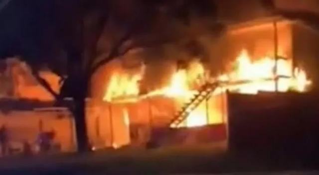 “我欠狗一条命!”澳洲大火中,一只狗狗成为英雄,千钧一发唤醒主人,一同逃离火海