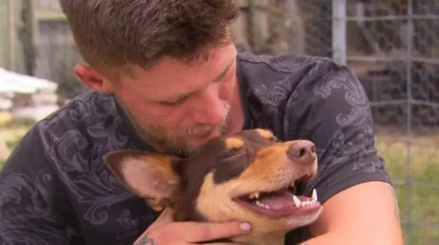 “我欠狗一条命!”澳洲大火中,一只狗狗成为英雄,千钧一发唤醒主人,一同逃离火海