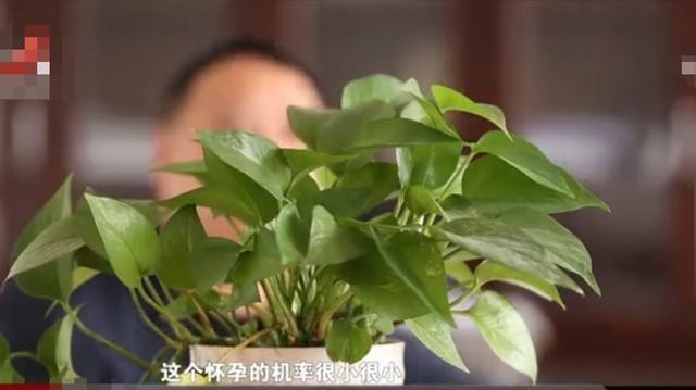 四川男子因听信风言风语怀疑儿子非亲生,偷做亲子鉴定后妻子提出离婚,随后将男子告上法庭:儿子是亲生的休闲区蓝鸢梦想 - Www.slyday.coM 四川男子因听信风言风语怀疑儿子非亲生,偷做亲子鉴定后妻子提出离婚,随后将男子告上法庭:儿子是亲生的休闲区蓝鸢梦想 - Www.slyday.coM