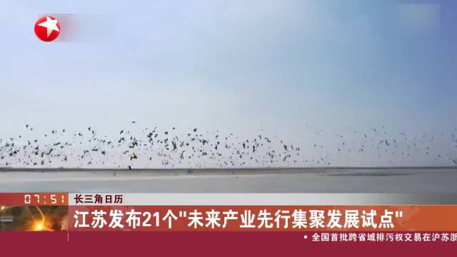 长三角日历 江苏盐城：条子泥湿地秋迁候鸟突破30万只|长三角|盐城市|江苏省_新浪新闻