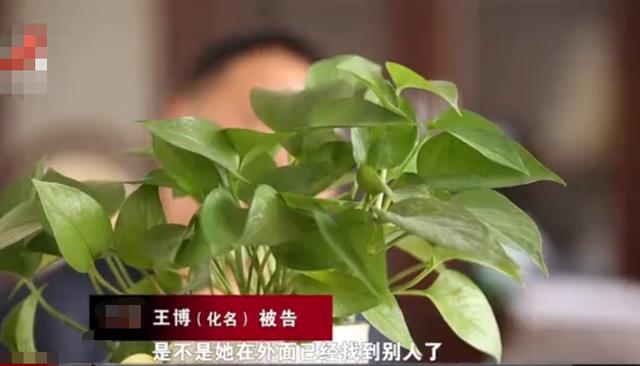 四川男子因听信风言风语怀疑儿子非亲生,偷做亲子鉴定后妻子提出离婚,随后将男子告上法庭:儿子是亲生的休闲区蓝鸢梦想 - Www.slyday.coM 四川男子因听信风言风语怀疑儿子非亲生,偷做亲子鉴定后妻子提出离婚,随后将男子告上法庭:儿子是亲生的休闲区蓝鸢梦想 - Www.slyday.coM