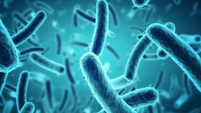 微生物安全，微生物在磷循环中有什么作用？