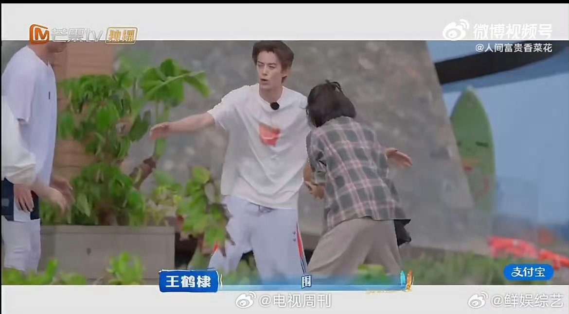 秦岚软萌率真治愈力十足