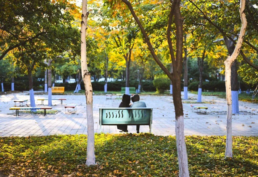 天空再现“国庆蓝”!哈尔滨这里枫叶已刷屏,去看看休闲区蓝鸢梦想 - Www.slyday.coM 天空再现“国庆蓝”!哈尔滨这里枫叶已刷屏,去看看休闲区蓝鸢梦想 - Www.slyday.coM