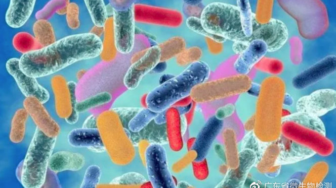 美女航天员王亚平：生理期怎么办？神十三16日发射，...