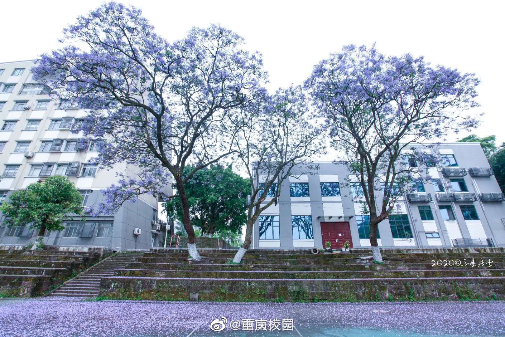 西南大学_高清图集