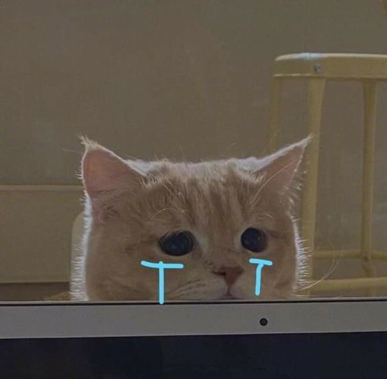 猫猫流泪0761030303ω61030303表情包