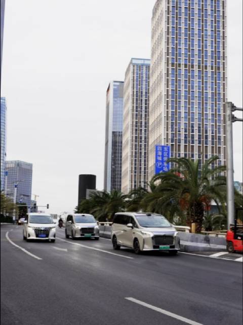 魏牌高山28万起售，埃尔法加价神话终结