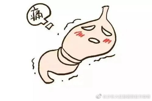 成都借卵多少钱(长沙东大肛肠医院:引发胃痛的常见原因有哪些?)