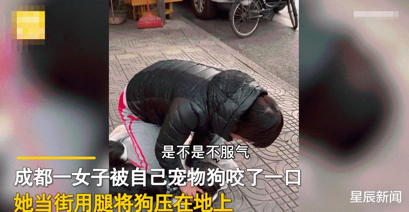 四川一女子被自家小狗咬伤,当街压住狗头教训:今天就教你咋做狗休闲区蓝鸢梦想 - Www.slyday.coM 四川一女子被自家小狗咬伤,当街压住狗头教训:今天就教你咋做狗休闲区蓝鸢梦想 - Www.slyday.coM