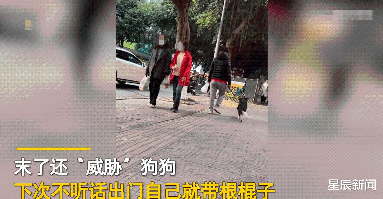 四川一女子被自家小狗咬伤,当街压住狗头教训:今天就教你咋做狗休闲区蓝鸢梦想 - Www.slyday.coM 四川一女子被自家小狗咬伤,当街压住狗头教训:今天就教你咋做狗休闲区蓝鸢梦想 - Www.slyday.coM