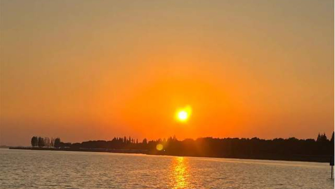 卖超跑的少东家，能带领金字火腿“啃”下光模块吗？