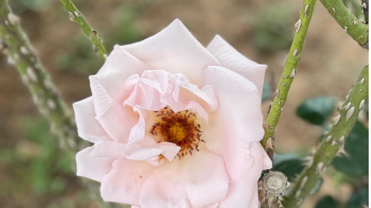 新股消息 | 滴灌通搁置港股上市计划 优先启动私募基金运作