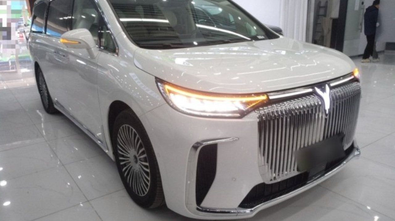 ​25万左右豪华插混新能源MPV，挑车什么都想要怎么办？