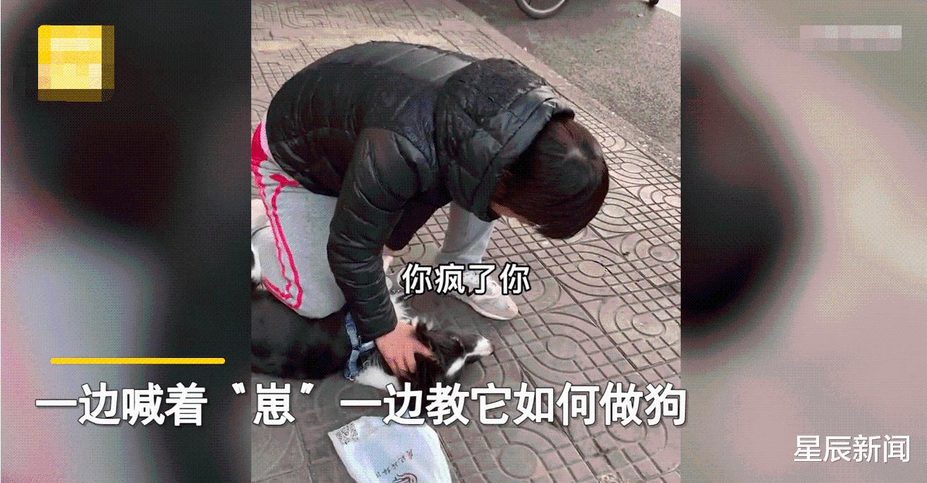 四川一女子被自家小狗咬伤,当街压住狗头教训:今天就教你咋做狗休闲区蓝鸢梦想 - Www.slyday.coM 四川一女子被自家小狗咬伤,当街压住狗头教训:今天就教你咋做狗休闲区蓝鸢梦想 - Www.slyday.coM