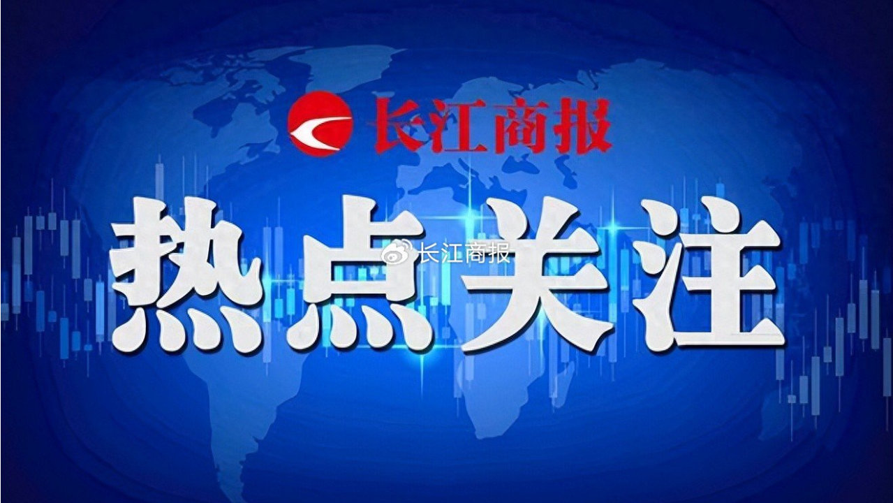 赣锋锂业受益锂价回暖半年预盈超36.5亿元全球布局锂资源首季投资收益