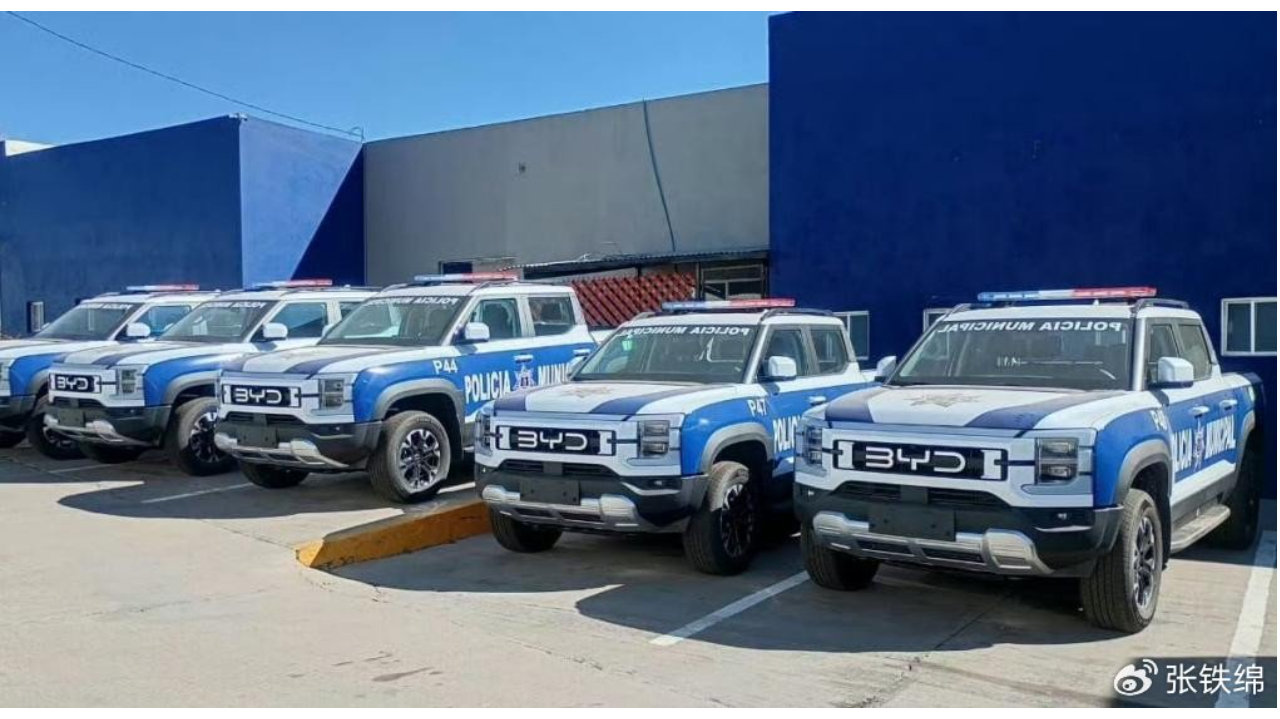 比亚迪在国外也有编制了！