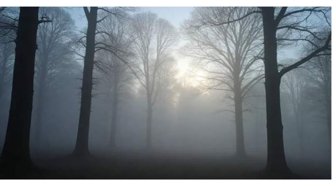 安妮股份迎“新主” 信披节点引关注