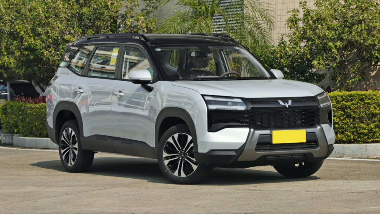 权益价5.98万起，三种动力+六环笼式车身，这款SUV适合家用吗？