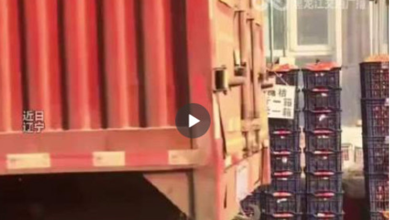 销冠在哪里都是销冠，老板为带货用砂糖橘做“王冠”