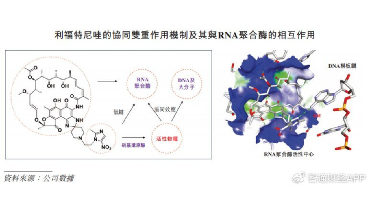 全球首创新药“硬实力”领跑，丹诺医药-B开启招股掘金抗感染赛道