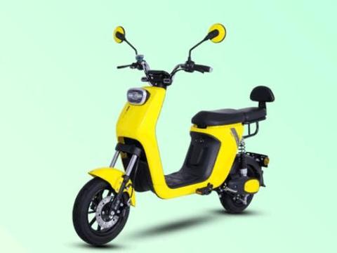 2020年电动车行业6款知名电动车，你更看好哪款？