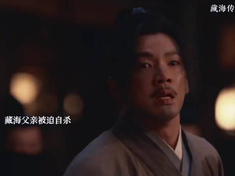 藏海亲眼看到父母和妹妹被平津侯杀死，自己被黑衣人救走