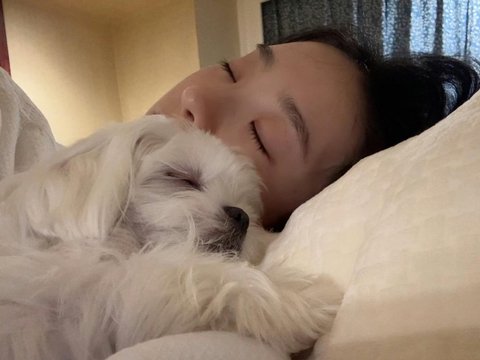 张艺凡国际小狗日抱爱犬derder上班