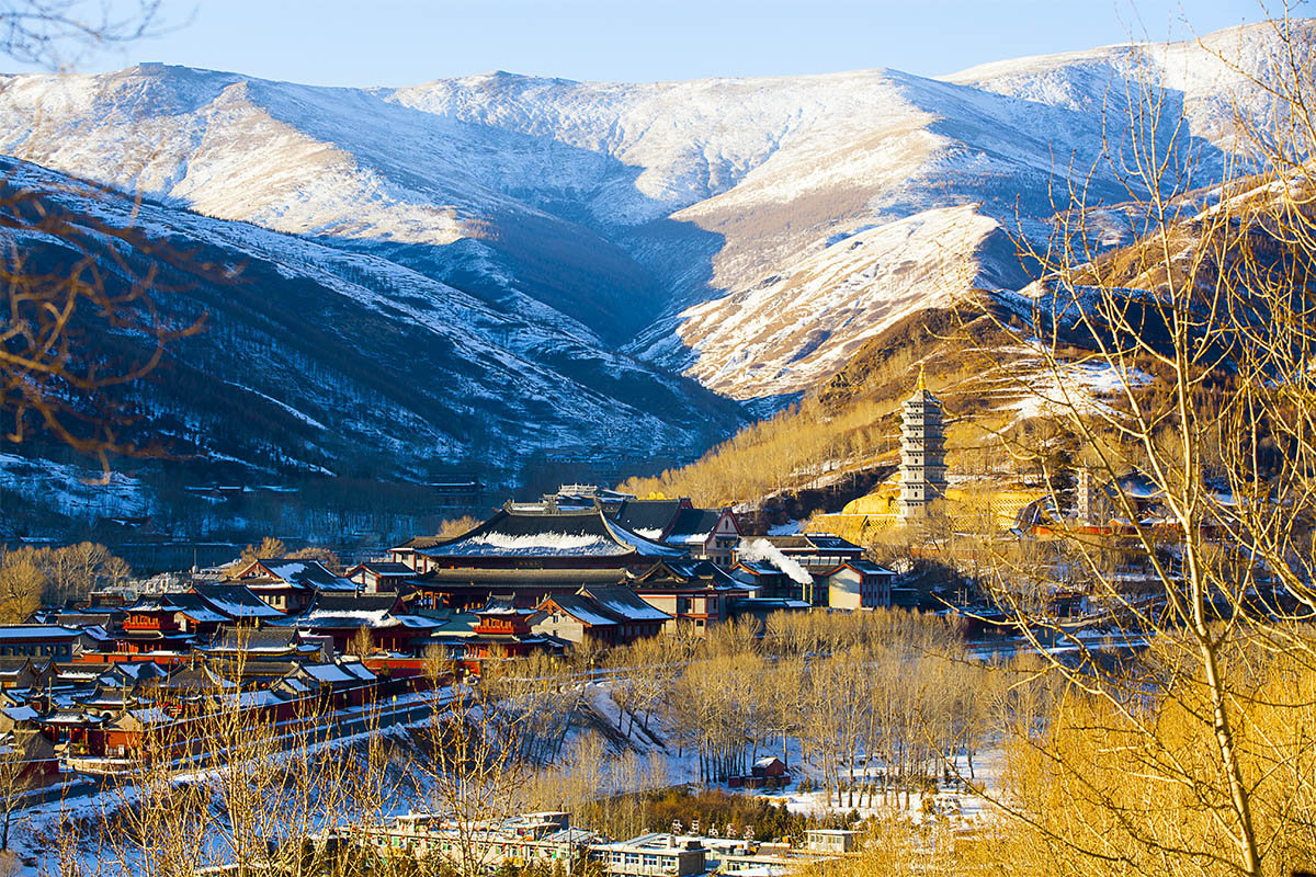 山西五台山 7615 雪后初霁 景如画图.网络_高清